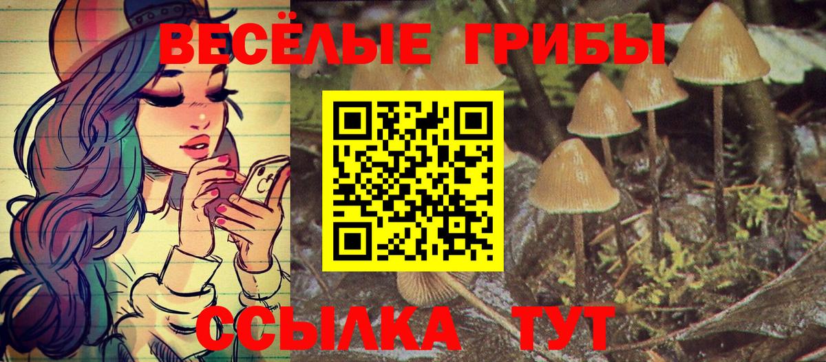 Волжск  закладка  Вход с VPN  Псилоцибиновые грибы Psilocybe 